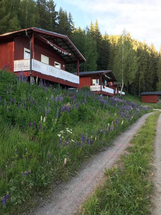 Utsiktens Turistgard Järkvitsle エクステリア 写真